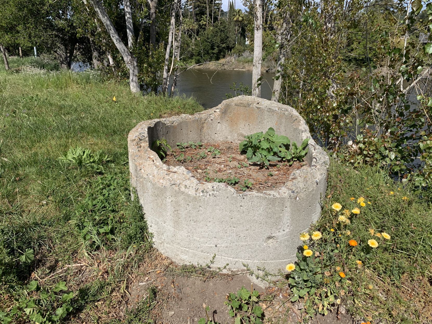 Oxbow Yard